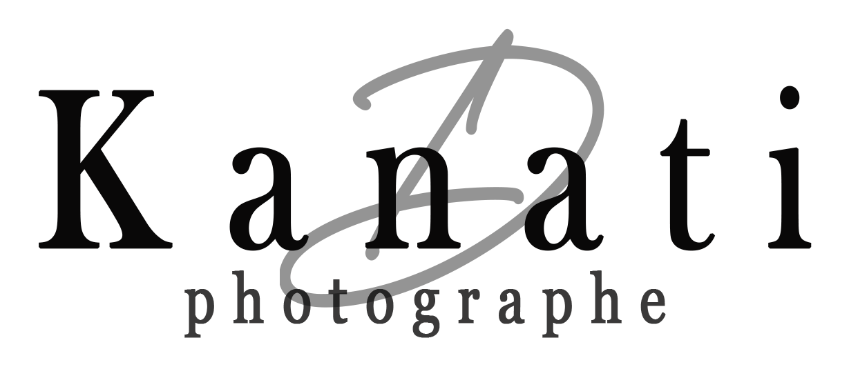 Logo Footer